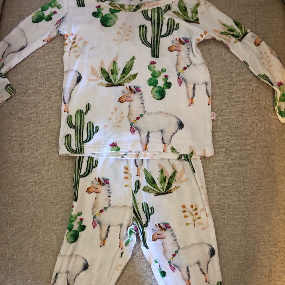 Posh peanut llama cactus pajamas.